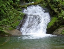 Imagen Altos Arapicos